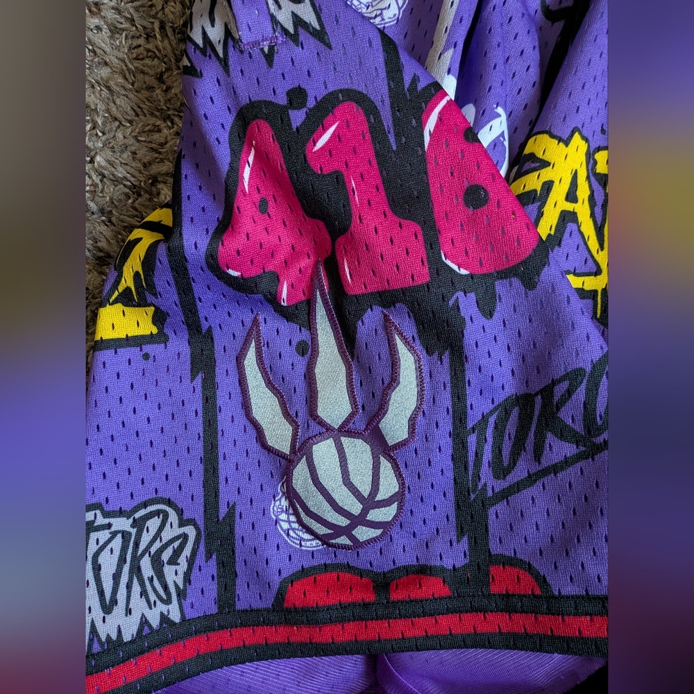 NWT Mitchell & Ness Toronto Raptors 1998/99 Hardwood Classics 9" Shorts S - Picture 3 of 9